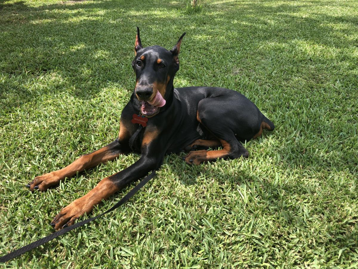 Photo Aug 03, 12 05 19 PM