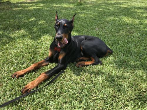 Photo Aug 03, 12 05 19 PM