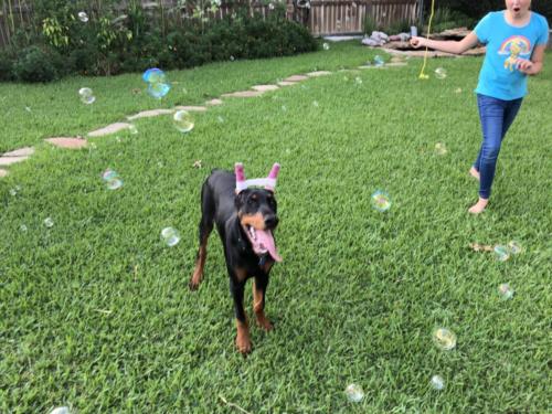 Photo Aug 19, 7 22 58 PM