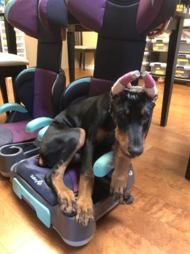 Photo Jul 04, 10 25 33 AM