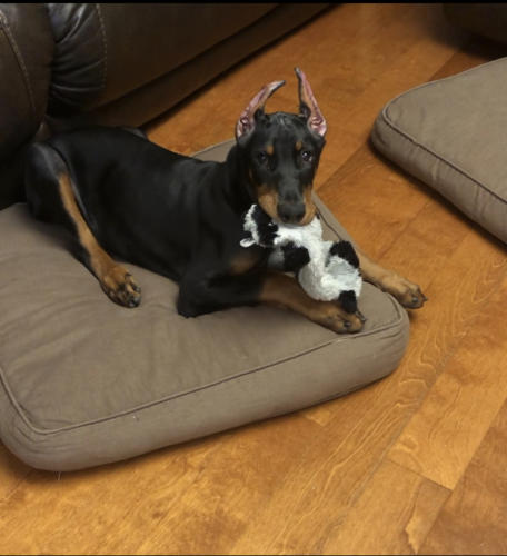 Photo Jul 06, 8 40 09 AM