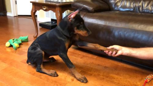 Photo Jul 18, 2 34 56 PM