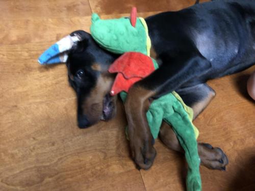 Photo Jul 23, 6 00 54 PM