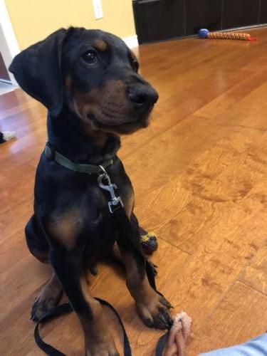 Photo Jun 01, 7 24 26 AM