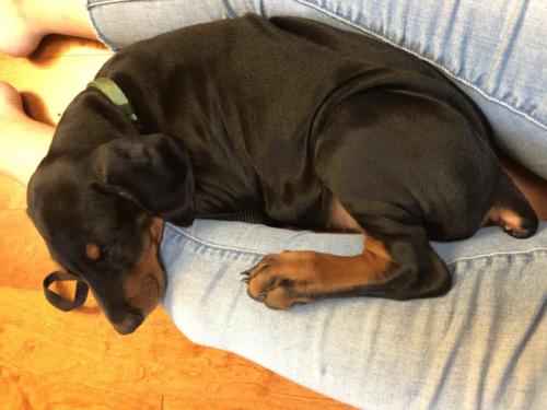 Photo Jun 01, 7 37 07 AM