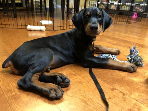 Photo Jun 02, 2 16 24 PM