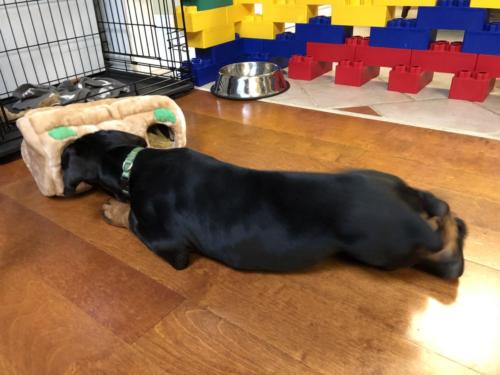 Photo Jun 11, 5 34 06 PM