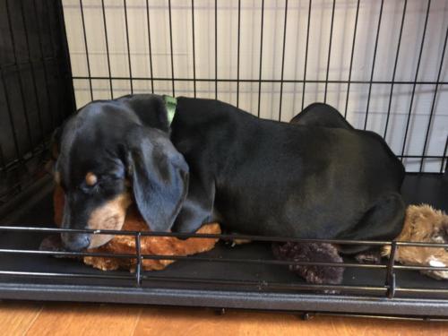 Photo May 30, 8 06 41 AM