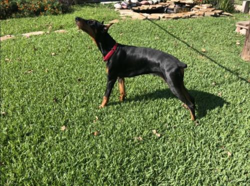 Photo Oct 07, 3 31 39 PM