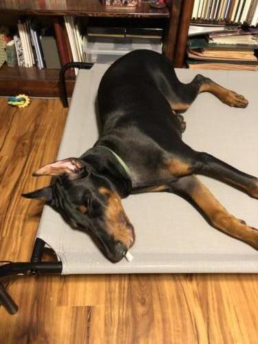 Photo Sep 01, 8 21 34 AM